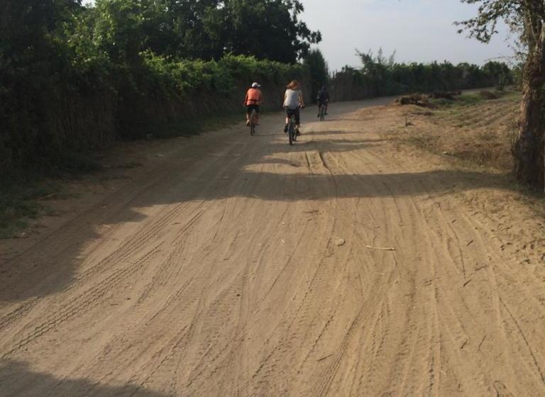 Bed and Breakfast Ica Adventures | Ica | Ica | Perú 9