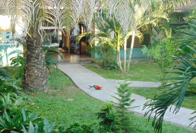 Hôtel Alojamientos Y Recreos Las Amazonas Inn Ii | Iquitos | Maynas | Hôtels au Pérou 5