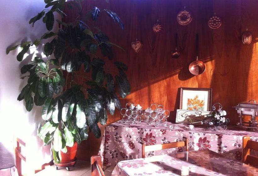 Hotel Oro Viejo | Nasca | Nazca | Perú 16