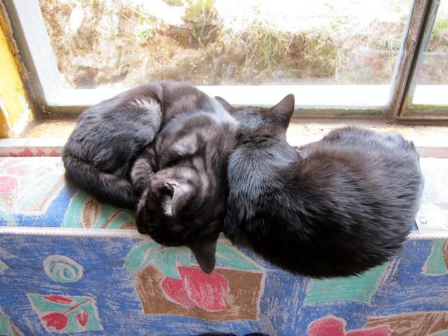 The Hof Hostel | Huaraz | Huaraz | Perú 12