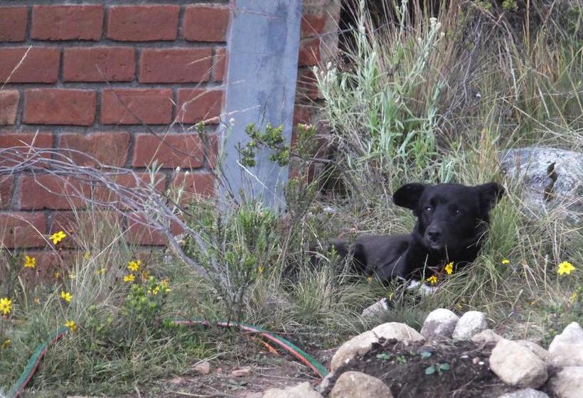 The Hof Hostel | Huaraz | Huaraz | Perú 13