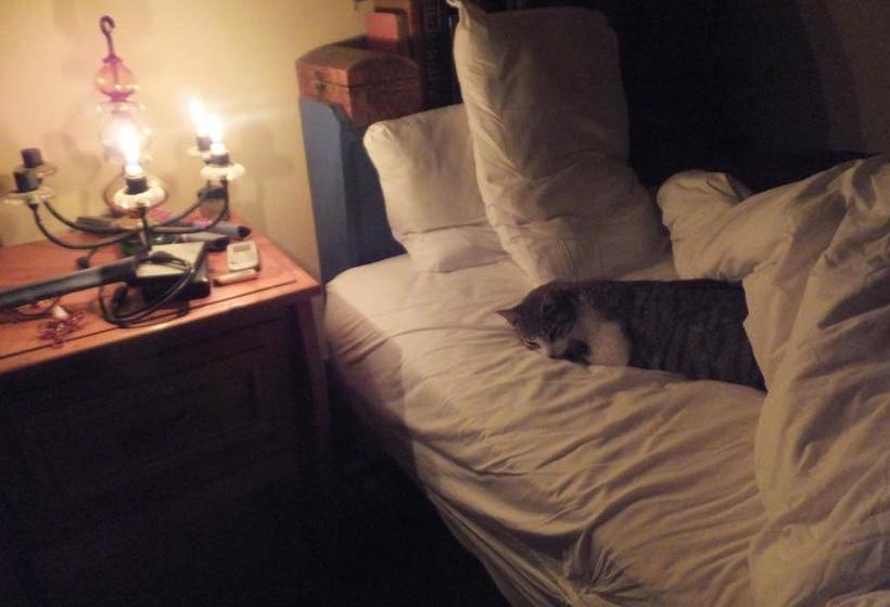 The Hof Hostel | Huaraz | Huaraz | Perú 14