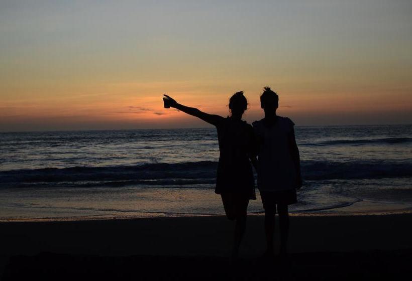 Albergue Psygon Surf Camp | Máncora | Talara | Perú 14