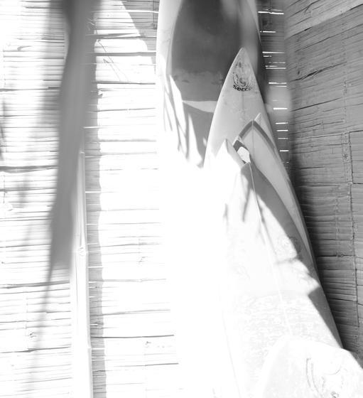 Albergue Psygon Surf Camp | Máncora | Talara | Perú 15