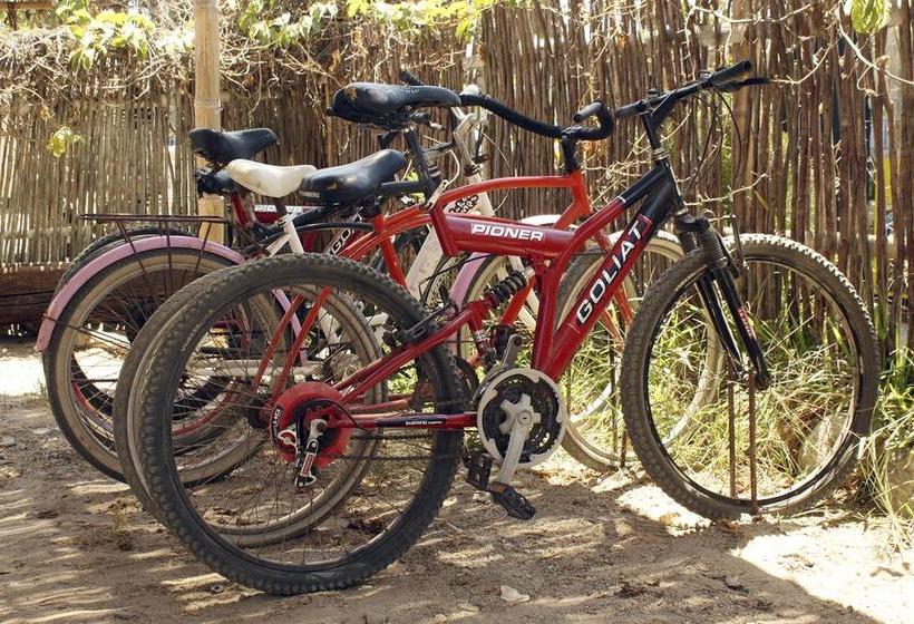 Albergue Psygon Surf Camp | Máncora | Talara | Perú 2