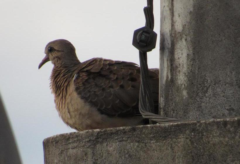 Hotel Tarapoto Inn | Tarapoto | San Martín | Perú 10