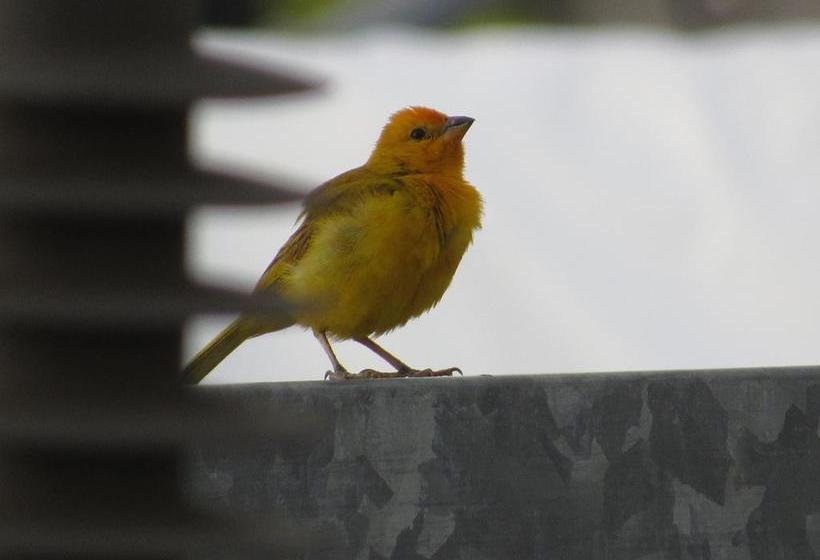 Hotel Tarapoto Inn | Tarapoto | San Martín | Perú 11