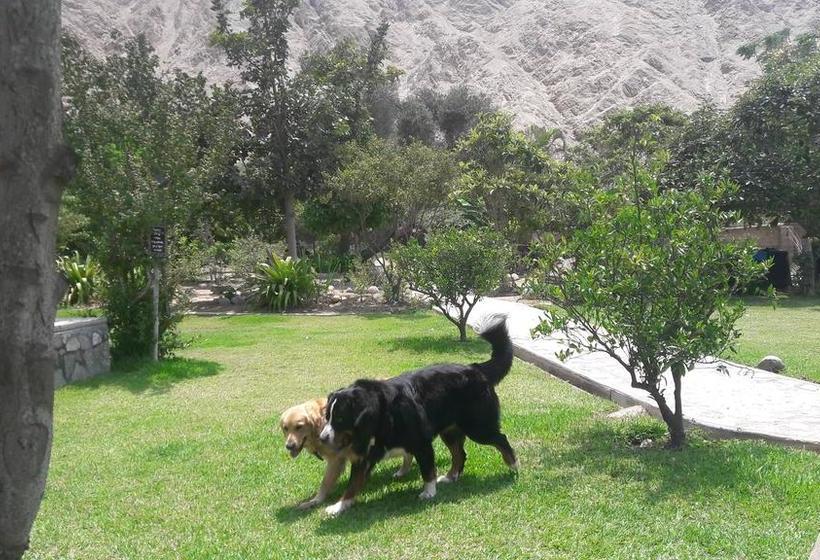 Hotel Refugio De Santiago Ecolodge | Lunahuaná | Cañete | Perú 1