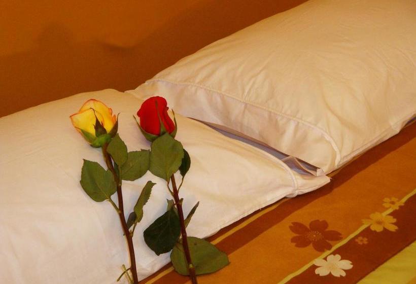 Albergue Neiz Hostal | Chiclayo | Chiclayo | Perú 5