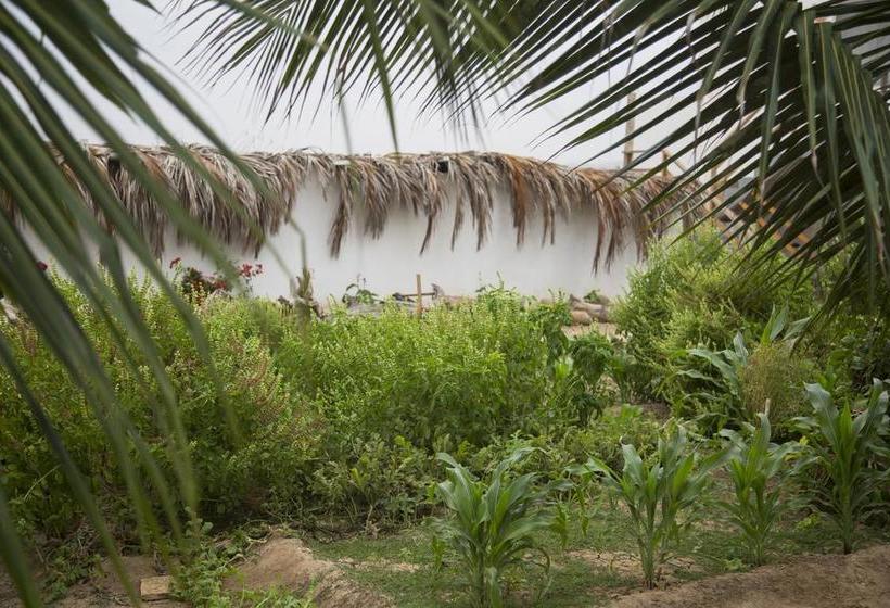 Hotel Suites Del Mar | Máncora | Talara | Perú 13