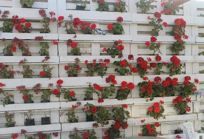 Hotel Suites Del Mar | Máncora | Talara | Perú 18