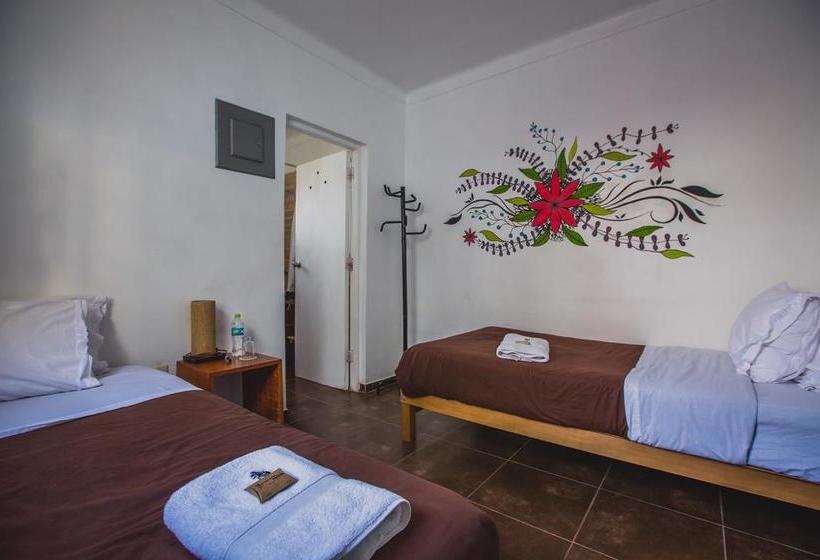 Kokopelli Hostel Paracas | Paracas | Pisco | Perú 14