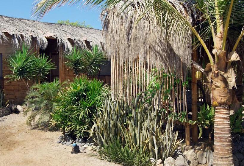 Bed and Breakfast Aquamarinn | Máncora | Talara | Perú 5