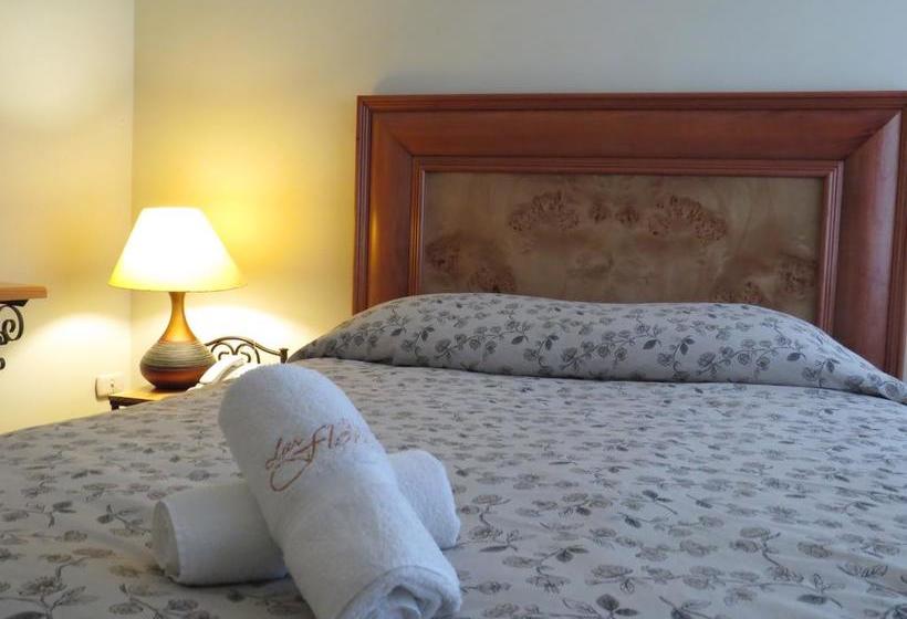 Hotel Las Flores | Ica | Ica | Perú 15