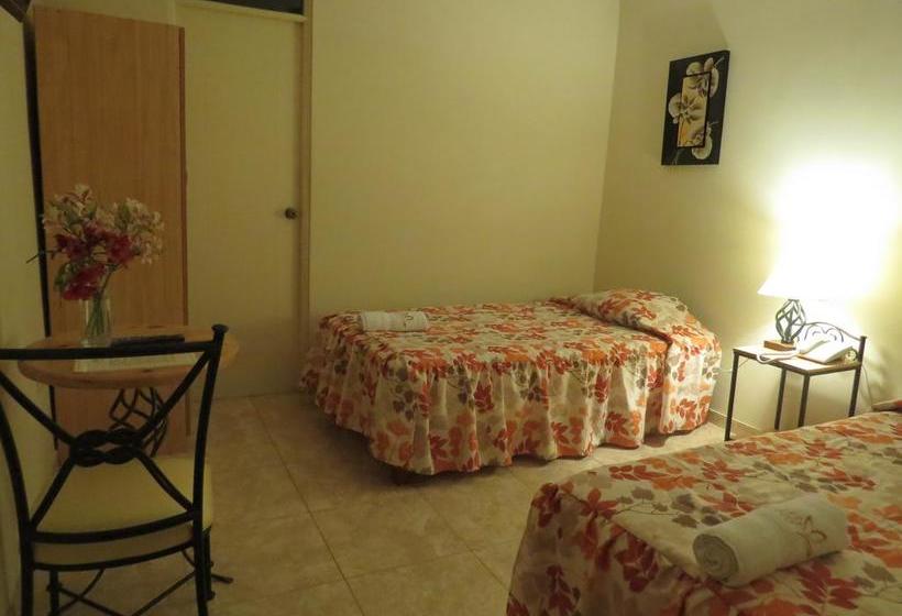 Hotel Las Flores | Ica | Ica | Perú 16