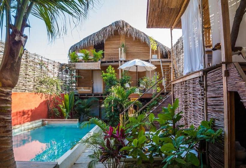 Hotel Eco Lodge | Máncora | Talara | Perú 2