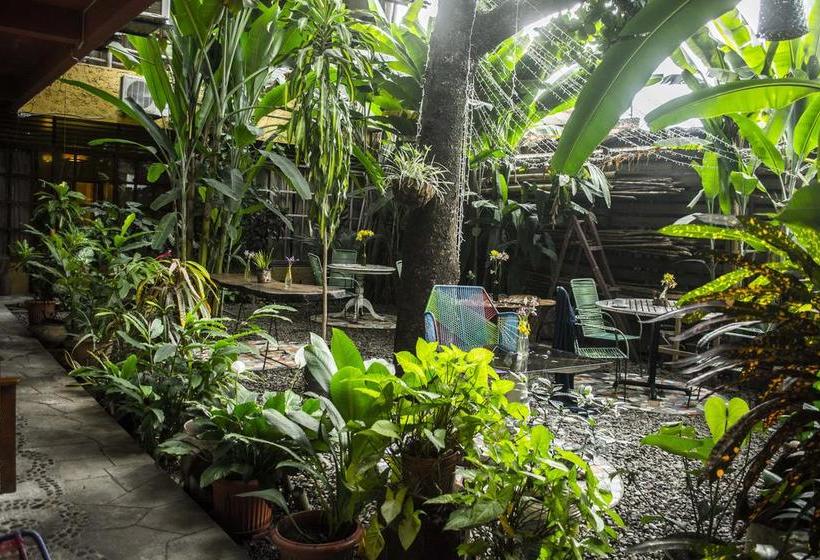 Hotel Casa De Palos Boutique | Tarapoto | San Martín | Perú 20