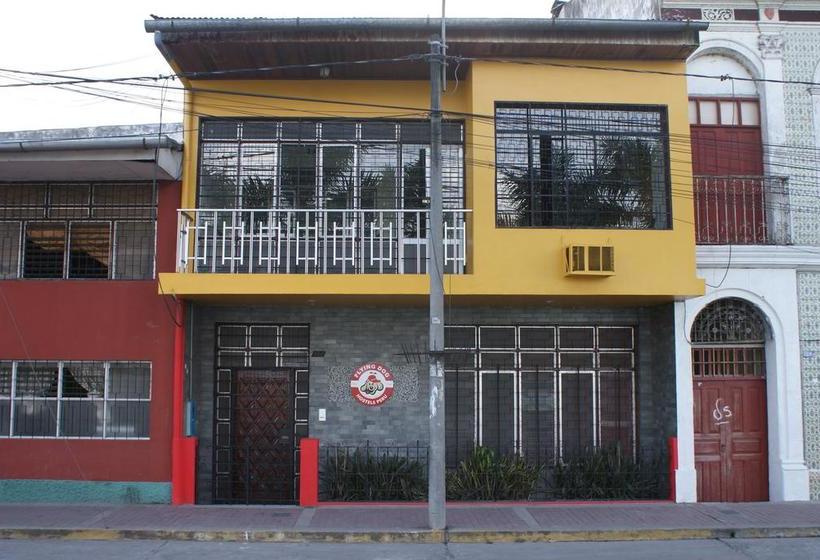 Flying Dog Hostel Iquitos | Iquitos | Maynas | Perú 2