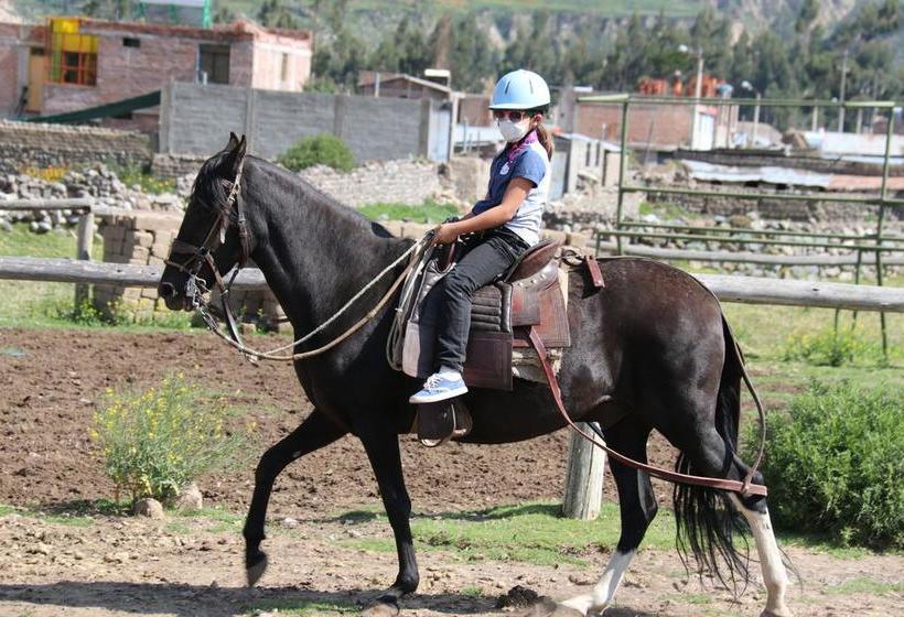Hotel Tradicion Colca | Yanque | Caylloma | Perú 10