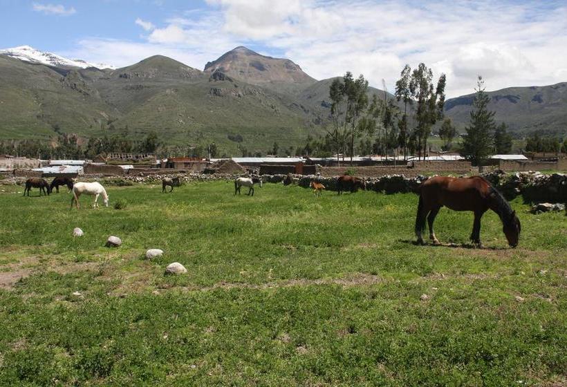 Hotel Tradicion Colca | Yanque | Caylloma | Perú 11