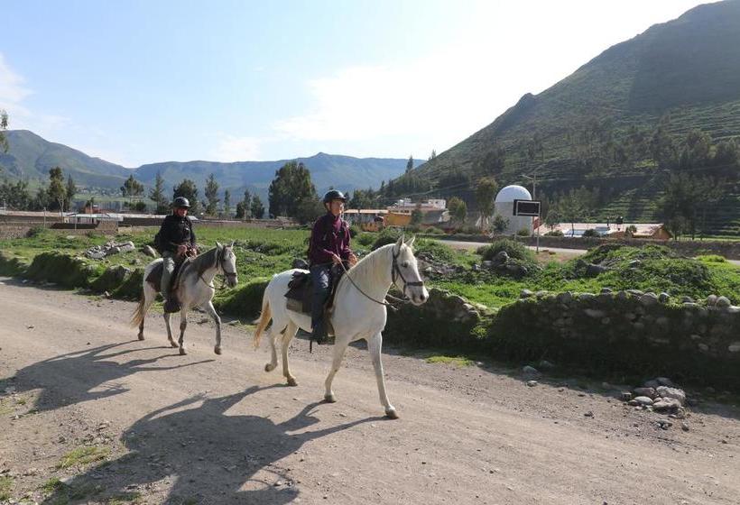 Hotel Tradicion Colca | Yanque | Caylloma | Perú 2