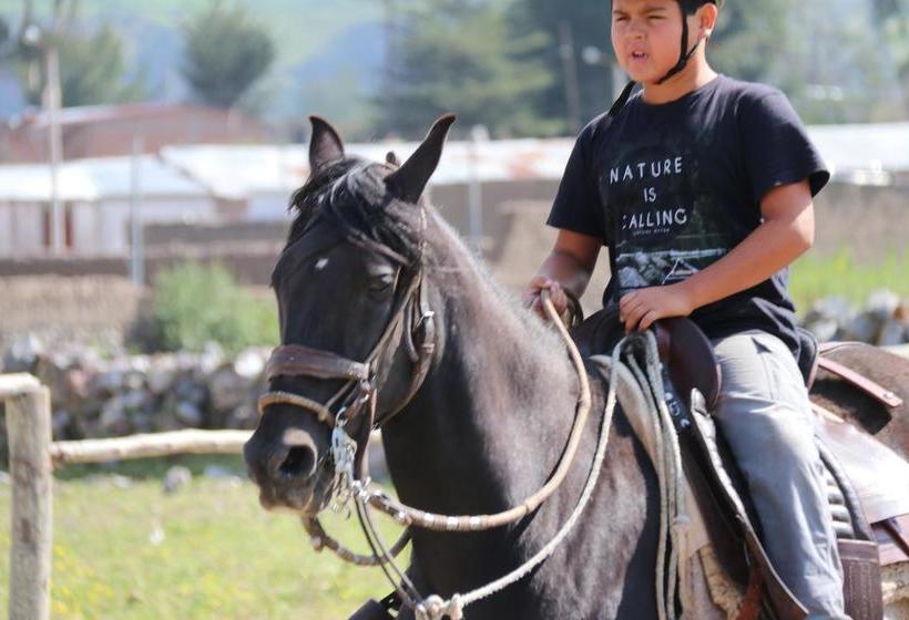 Hotel Tradicion Colca | Yanque | Caylloma | Perú 4