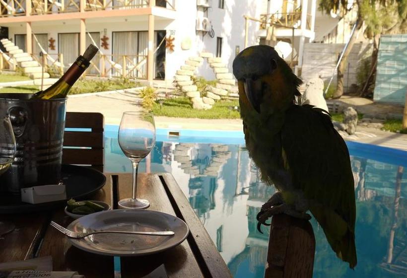 Hotel Ier Arte Y Cocina | Máncora | Talara | Perú 7