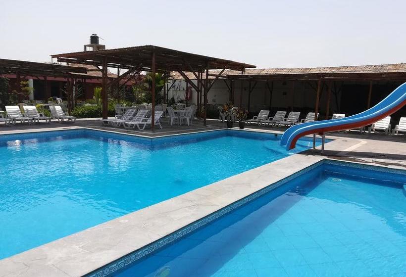 Hotel Crisolmar Pradera | Pisco | Pisco | Perú 4