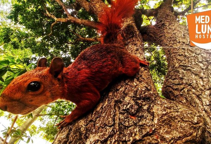 Media Luna Hostel | Cartagena de Indias | Bolivar | Colombia 12