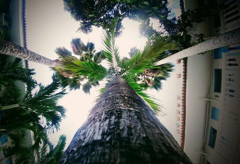 Media Luna Hostel | Cartagena de Indias | Bolivar | Colombia 13