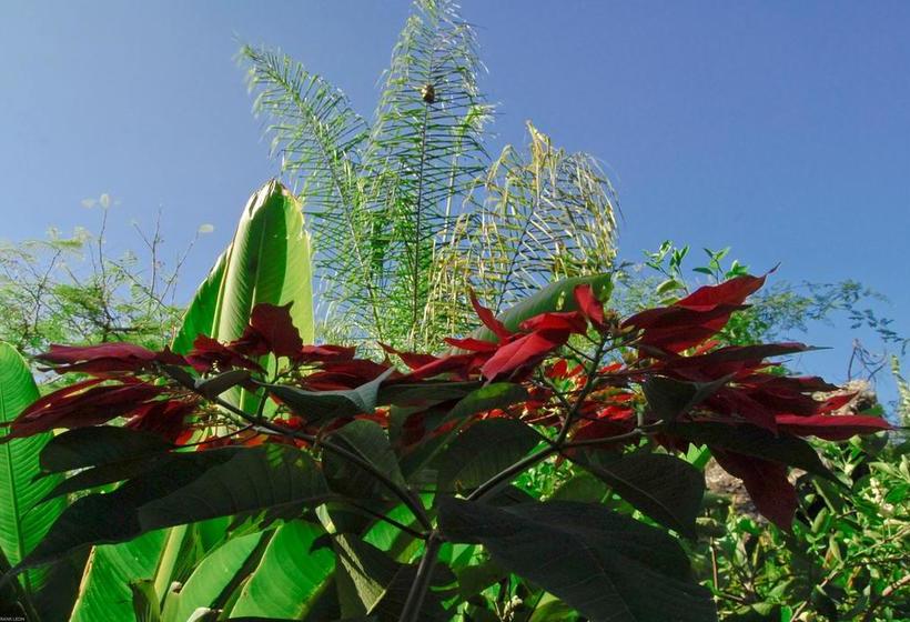 Hotel Hostería Mandála | Puerto López | Manabí | Ecuador 10