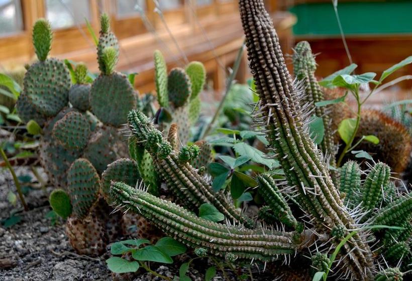 Hotel Hostería Mandála | Puerto López | Manabí | Ecuador 16