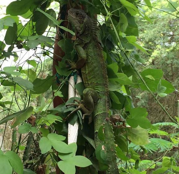 Hotel Hostería Mandála | Puerto López | Manabí | Ecuador 2
