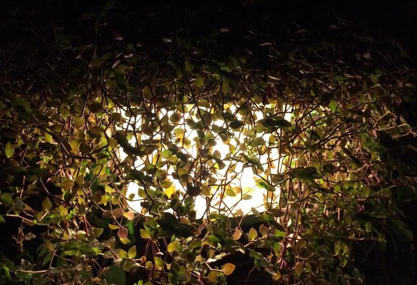 Hotel Hostería Mandála | Puerto López | Manabí | Ecuador 3