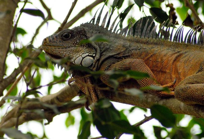 Hotel Hostería Mandála | Puerto López | Manabí | Ecuador 8