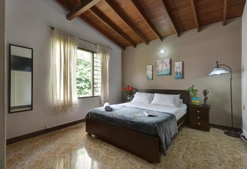 Ivy Hostel | El Poblado | Antioquia | Colombia 1