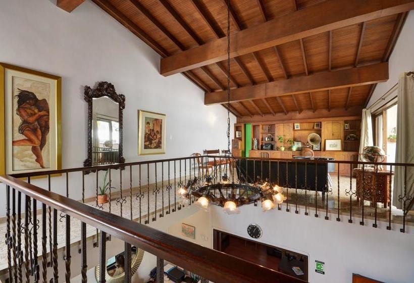 Ivy Hostel | El Poblado | Antioquia | Colombia 10