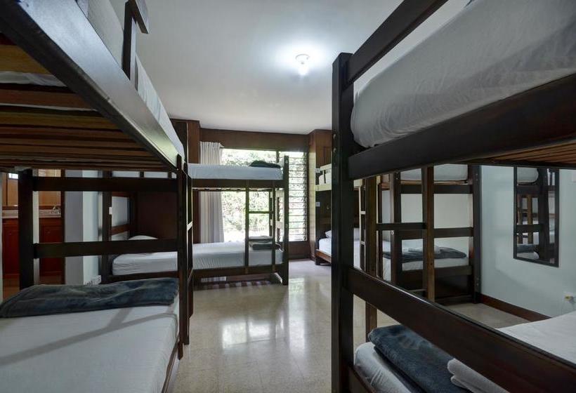 Ivy Hostel | El Poblado | Antioquia | Colombia 11