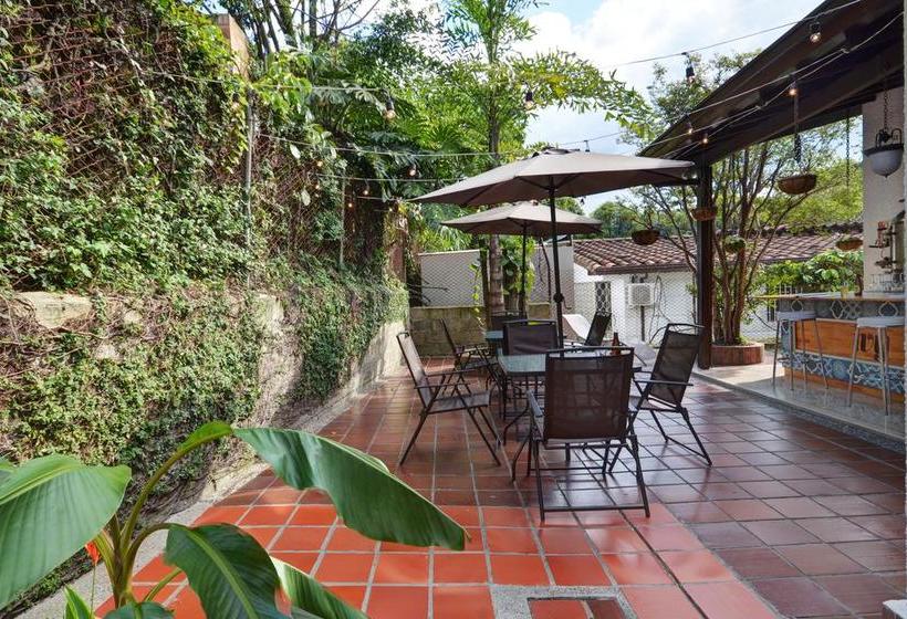 Ivy Hostel | El Poblado | Antioquia | Colombia 12