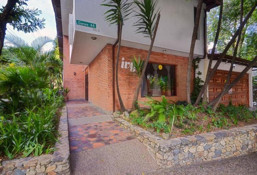 Ivy Hostel | El Poblado | Antioquia | Colombia 2
