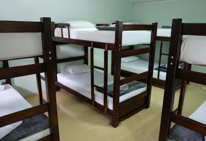 Ivy Hostel | El Poblado | Antioquia | Colombia 3