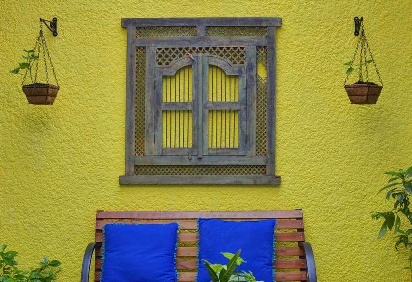 Ivy Hostel | El Poblado | Antioquia | Colombia 5