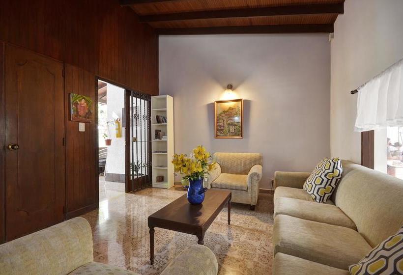 Ivy Hostel | El Poblado | Antioquia | Colombia 6