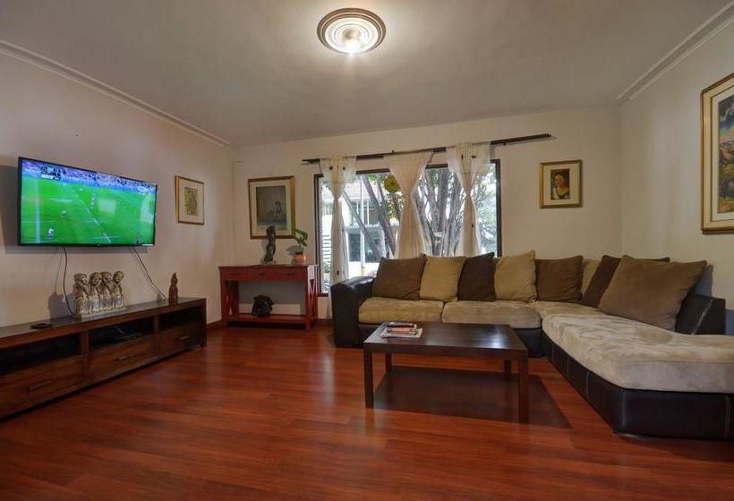 Ivy Hostel | El Poblado | Antioquia | Colombia 8