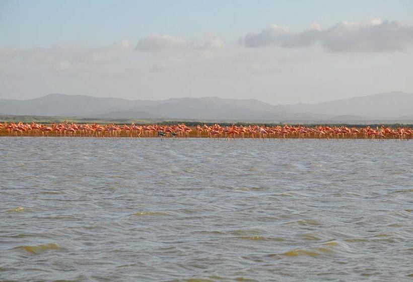 Bona Vida Hostel | Riohacha | La Guajira | Colombia 19