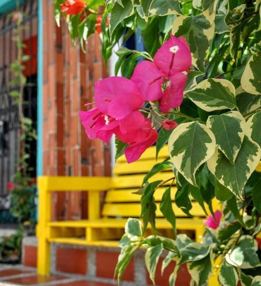 Bona Vida Hostel | Riohacha | La Guajira | Colombia 2