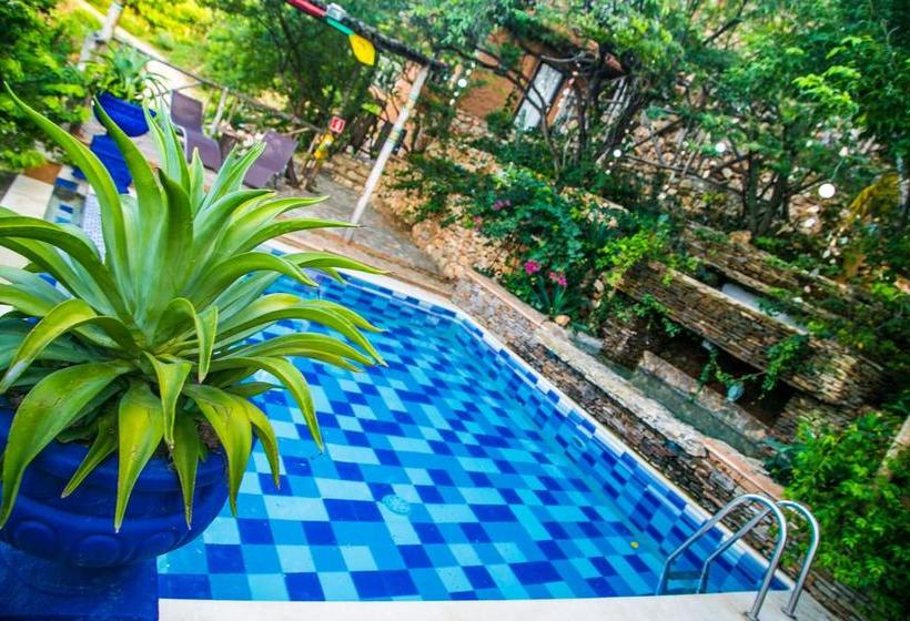 Hotel Bunsizanisi | Santa Marta | Magdalena | Colombia 4