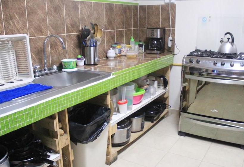 Albergue Hostal Rich | Medellín | Antioquia | Colombia 12