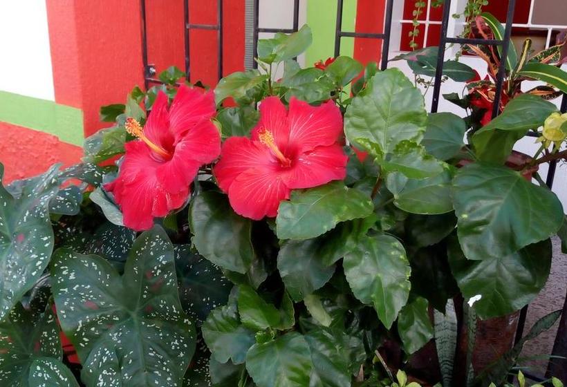 Caribbean Hostel | Riohacha | La Guajira | Colombia 5