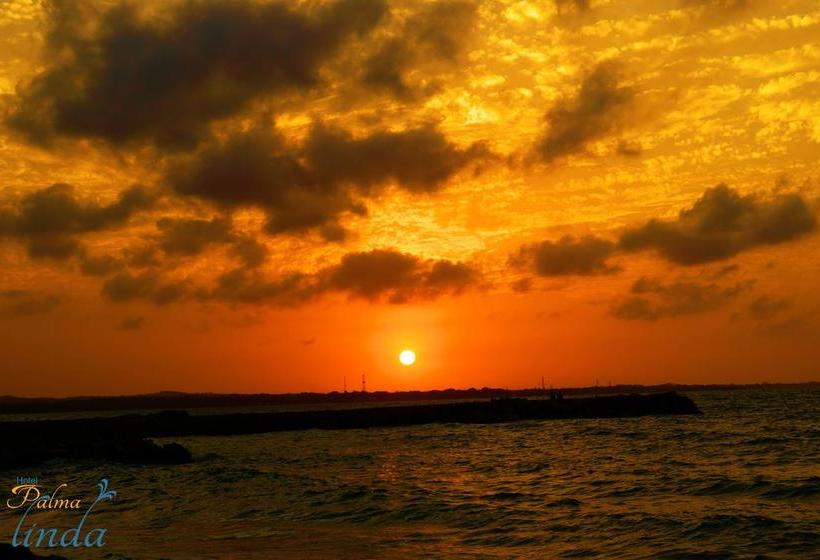 Hotel Palma Linda | Coveñas | Sucre | Colombia 2